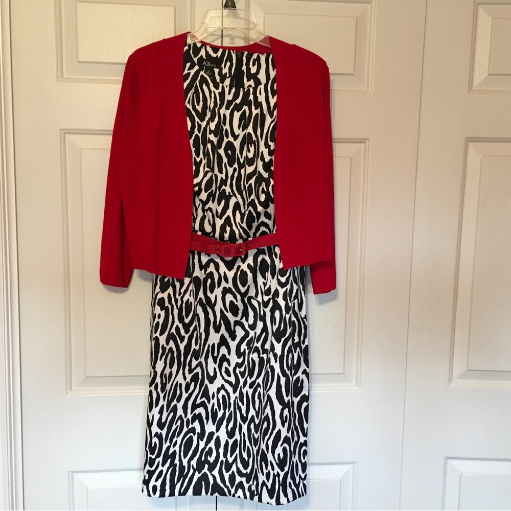 Women’s Dress Sz 10 Zebra print with red belt & red sweater.